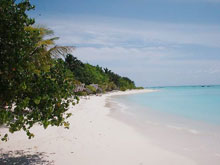 Summer Island Maldives(ex.Summer Island Village)